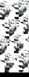 Zeige Details für Schrauben für Konsolenbefestigung Bild von Schrauben für Konsolenbefestigung