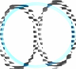 Zeige Details für Agasdichtung DN150 Silikon Bild von Agasdichtung DN150 Silikon