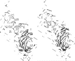 Zeige Details für Schlauchstutzen gerade 1/4" Bild von Schlauchstutzen gerade 1/4"