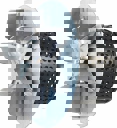 Zeige Details für Gebläsemotor mit Flügelrad Bild von Gebläsemotor mit Flügelrad