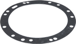 Zeige Details für Flammkörperdichtung - groß Bild von Flammkörperdichtung - groß