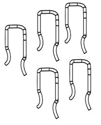 Zeige Details für Drahtsicherung (5 Stück) Bild von Drahtsicherung (5 Stück)