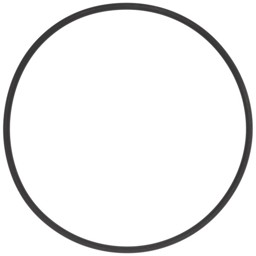Zeige Details für O-Ring DN100/PN40 Bild von O-Ring DN100/PN40