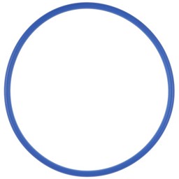 Zeige Details für Runddichtung DN 80 Revisionstück Bild von Runddichtung DN 80 Revisionstück