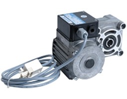 Zeige Details für Einschubmotor Vitoligno 300-P VL3B Bild von Einschubmotor Vitoligno 300-P VL3B