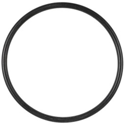 Zeige Details für O-Ring für Filter Bild von O-Ring für Filter