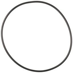 Zeige Details für O-Ring Ø110 x 3 für Filtertyp 80/20/16 und 80/50/16 Bild von O-Ring Ø110 x 3 für Filtertyp 80/20/16 und 80/50/16