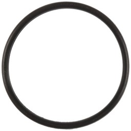 Zeige Details für O-Ring Ø24 x 1,5 mm FKM Viton 70 Bild von O-Ring Ø24 x 1,5 mm FKM Viton 70