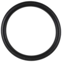 Zeige Details für O-Ring für Flansch Ø 21,90 x 2,62 mm Bild von O-Ring für Flansch Ø 21,90 x 2,62 mm