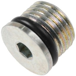 Zeige Details für Verschlussschraube flach G 1/8 mit O-Ring Bild von Verschlussschraube flach G 1/8 mit O-Ring