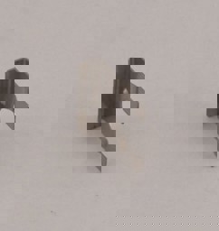 Zeige Details für Befestigungsfeder 30x30x0,75 Bild von Befestigungsfeder 30x30x0,75