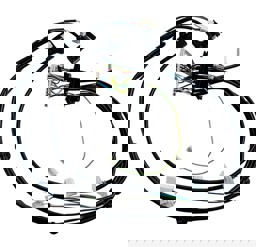 Zeige Details für Kabelsatz Brennraum für CGB-2-38/55 Bild von Kabelsatz Brennraum für CGB-2-38/55