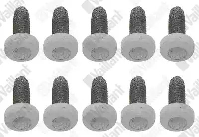 Bild von Vaillant Schraube VWL (x10)