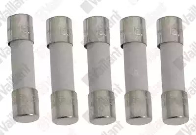 Bild von Vaillant Sicherung (x5)