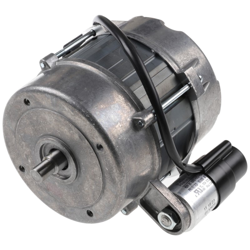 Bild von Motor ECK03/H-2/1 230V 50Hz für WG10C WG10/1