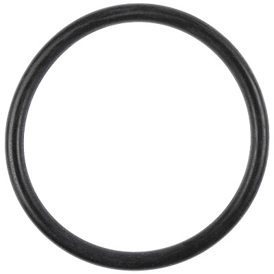 Bild von O-Ring 36 x 3 mm für MB403 Ausgang, MB 405-407