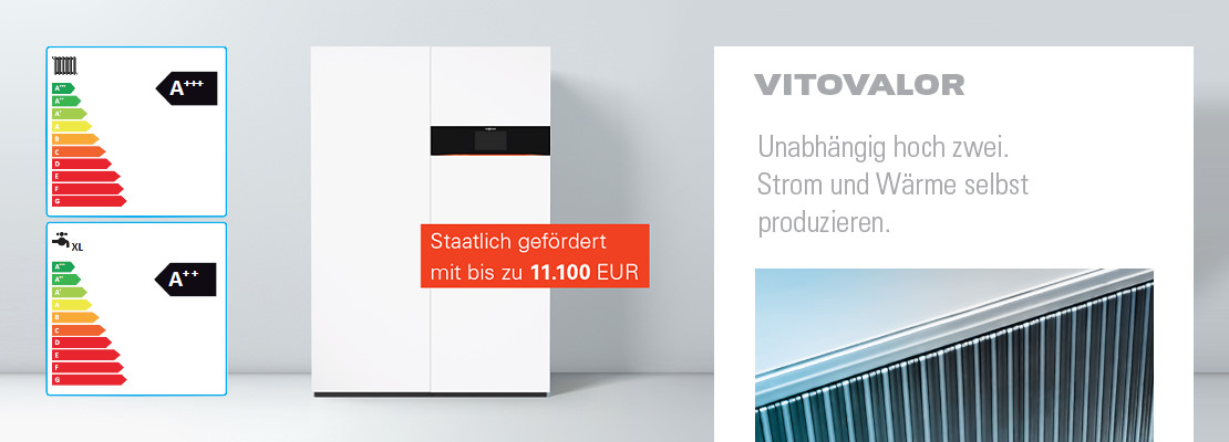 Viessmann Vitovalor PT2