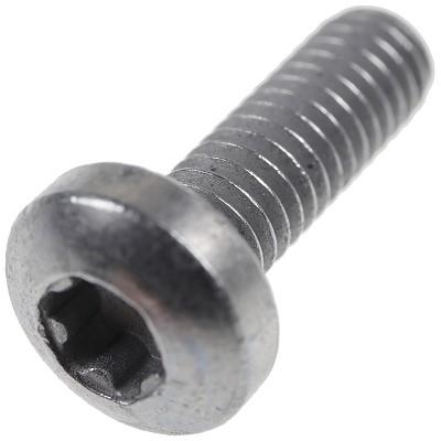 Bild von Schraube M4 x 12 Torx-Plus 20IP