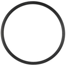 Bild von O-Ring für Filter