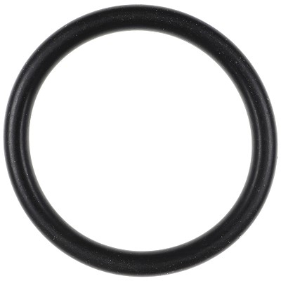 Bild von O-Ring für Flansch Ø 21,90 x 2,62 mm