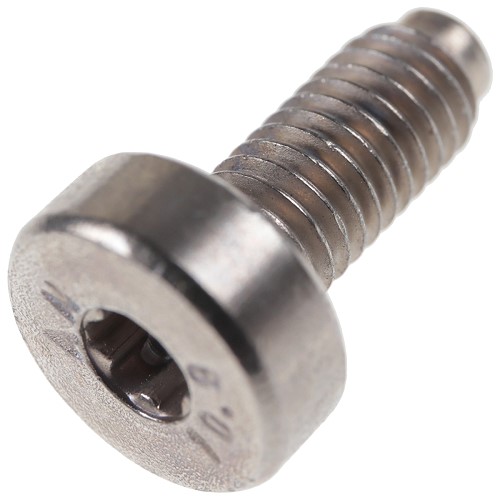 Bild von Schraube M5 x 12 Torx-Plus 20IP