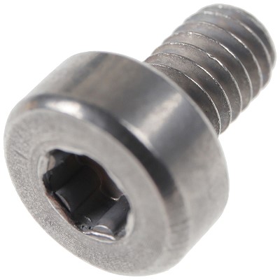 Bild von Schraube M4 x 6 Torx-Plus 20IP