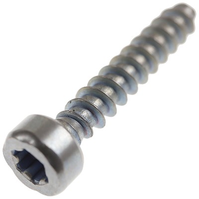 Bild von Schraube M4 x 22 Torx-Plus 20IP Remform Werkstoff 10.9