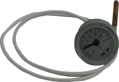 Bild von Thermometer für GBR