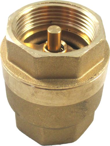 Bild von Rückschlagventil IG 1 1/4" PN10 für LS, SLS, FWS