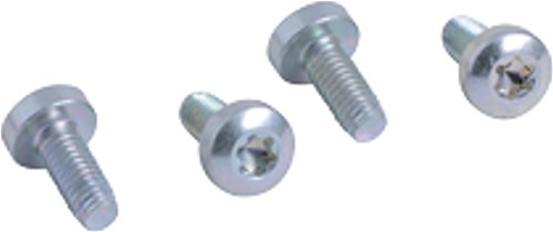 Bild von Flansch Schrauben (4 Stück)