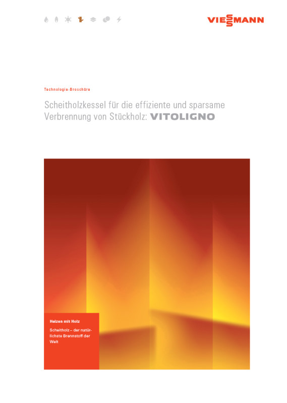 Viessmann Prospekt Vitoligno Scheitholzkessel