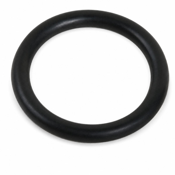 7816227 Viessmann O-Ring Ø 25 x 4 mm
